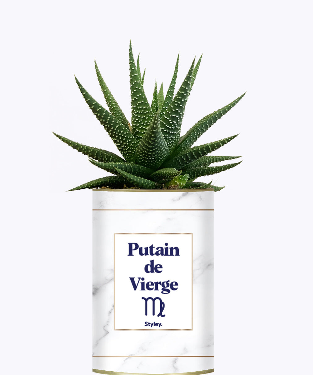 Putain d'astro - Plante zodiac