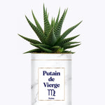 Putain d'astro - Plante zodiac