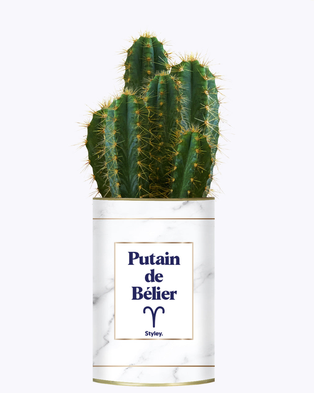 Putain d'astro - Plante zodiac