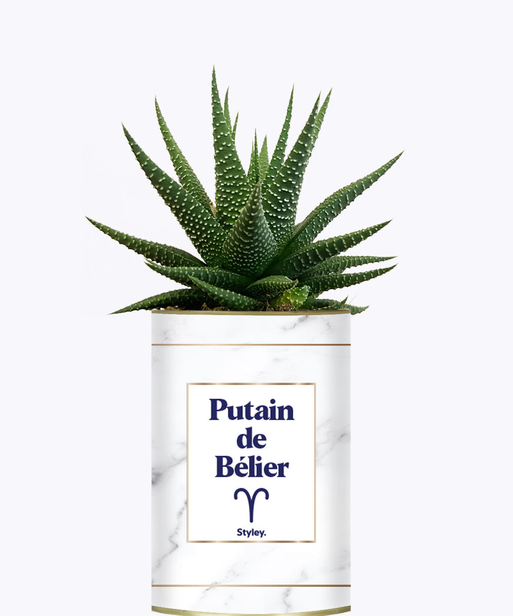 Putain d'astro - Plante zodiac