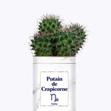 Putain d'astro - Plante zodiac