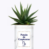 Putain d'astro - Plante zodiac