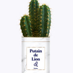 Putain d'astro - Plante zodiac