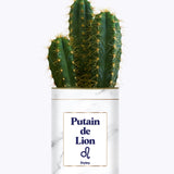Putain d'astro - Plante zodiac