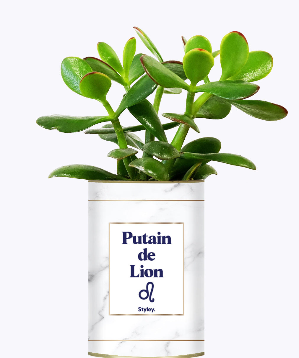 Putain d'astro - Plante zodiac