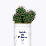 Putain d'astro - Plante zodiac