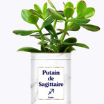 Putain d'astro - Plante zodiac