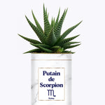Putain d'astro - Plante zodiac