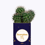 Astrologie - Plante zodiac