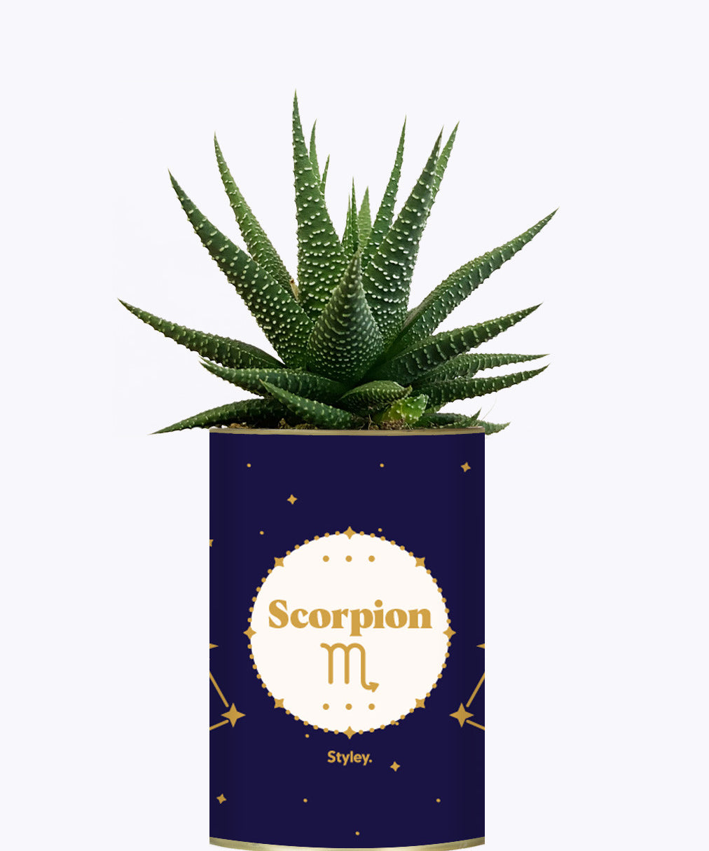 Astrologie - Plante zodiac