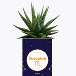 Astrologie - Plante zodiac