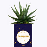 Astrologie - Plante zodiac