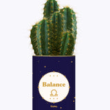 Astrologie - Plante zodiac