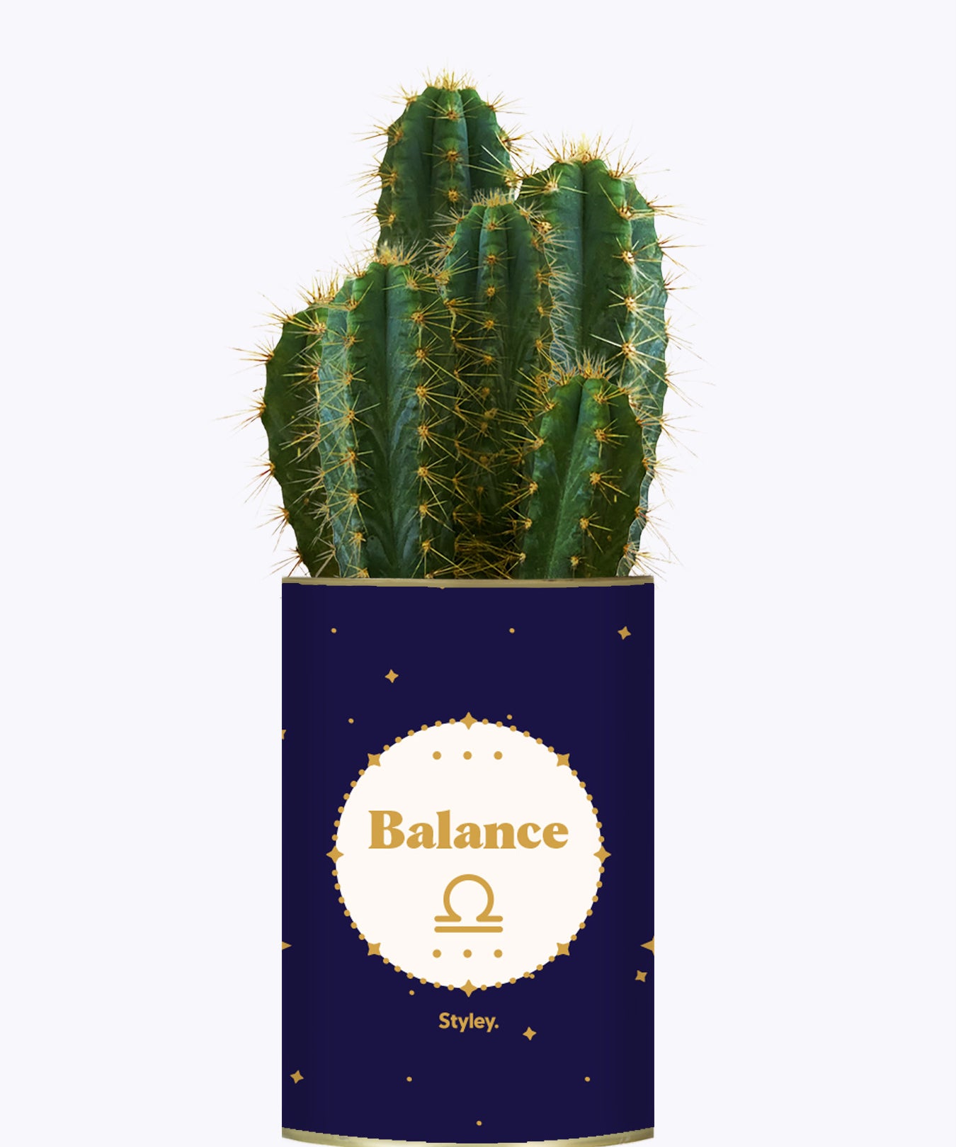 Astrologie - Plante zodiac