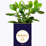Astrologie - Plante zodiac