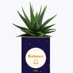 Astrologie - Plante zodiac