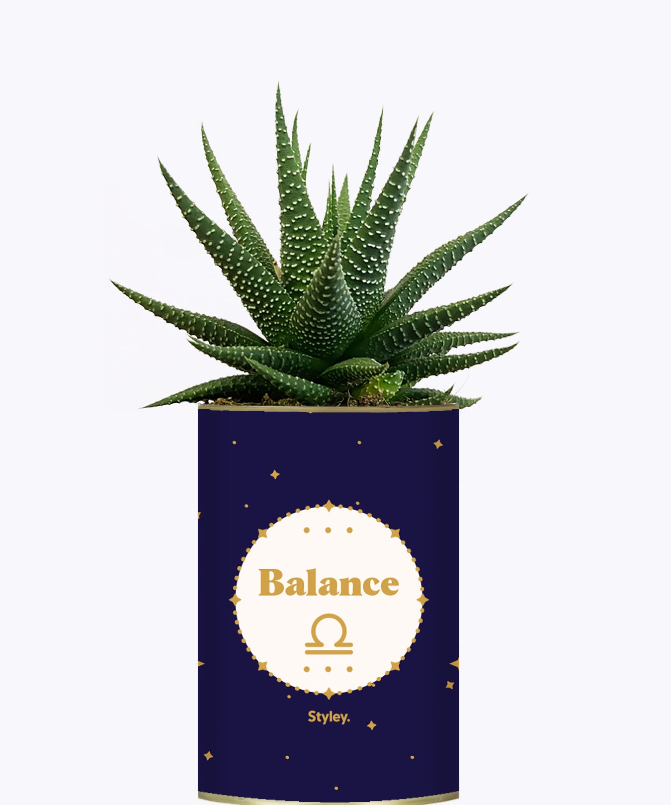 Astrologie - Plante zodiac