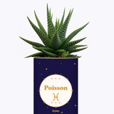 Astrologie - Plante zodiac