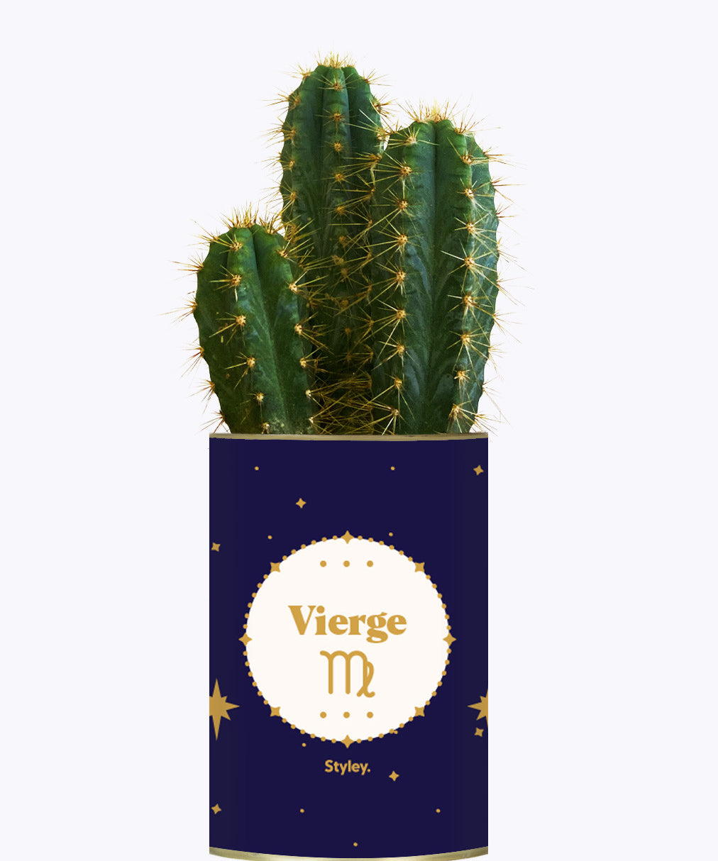 Astrologie - Plante zodiac