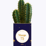 Astrologie - Plante zodiac