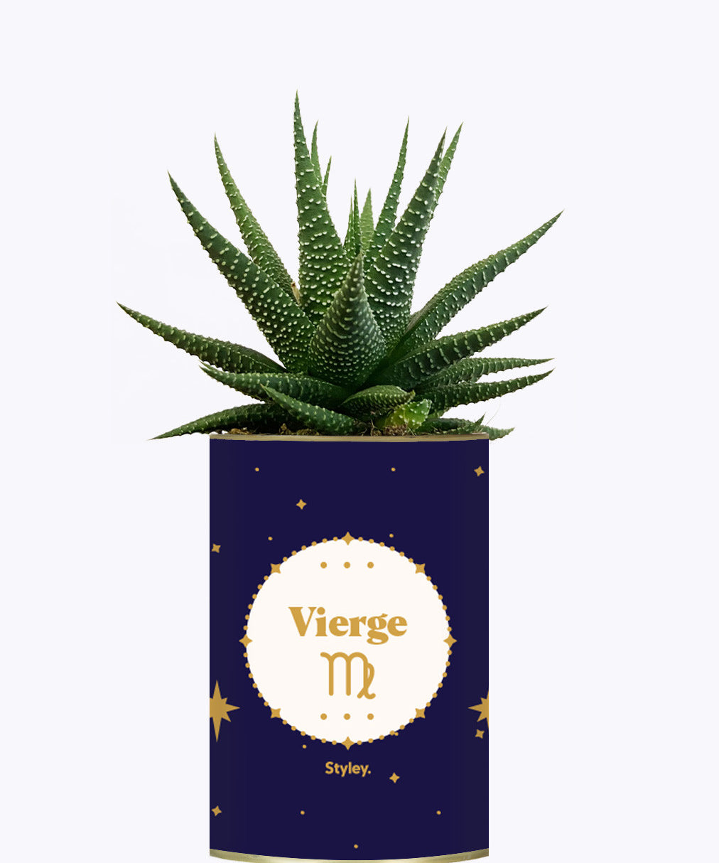Astrologie - Plante zodiac