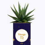 Astrologie - Plante zodiac