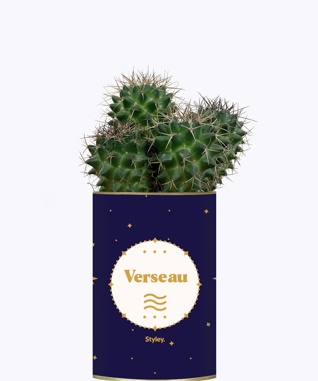 Astrologie - Plante zodiac