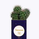 Astrologie - Plante zodiac