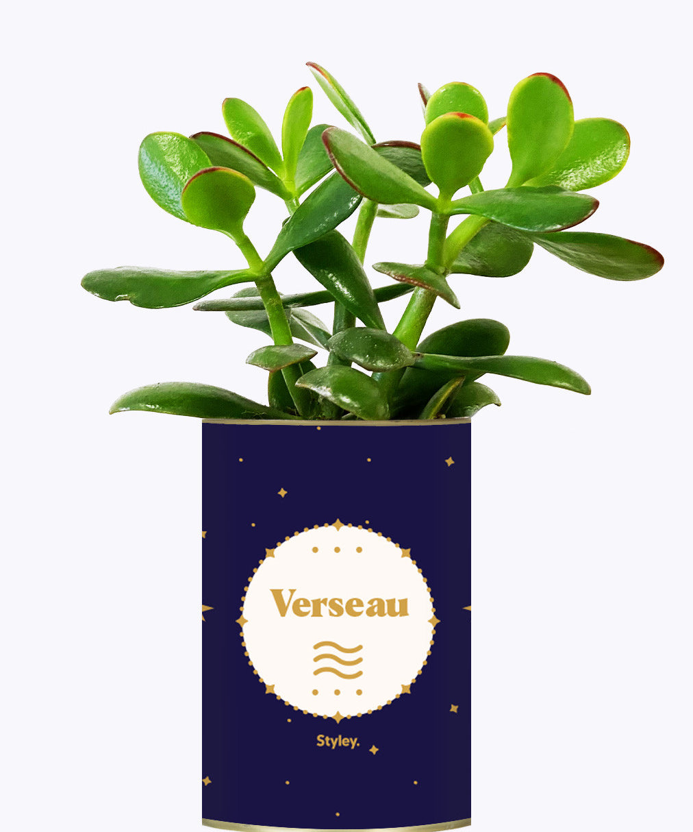 Astrologie - Plante zodiac