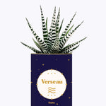 Astrologie - Plante zodiac