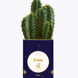Astrologie - Plante zodiac
