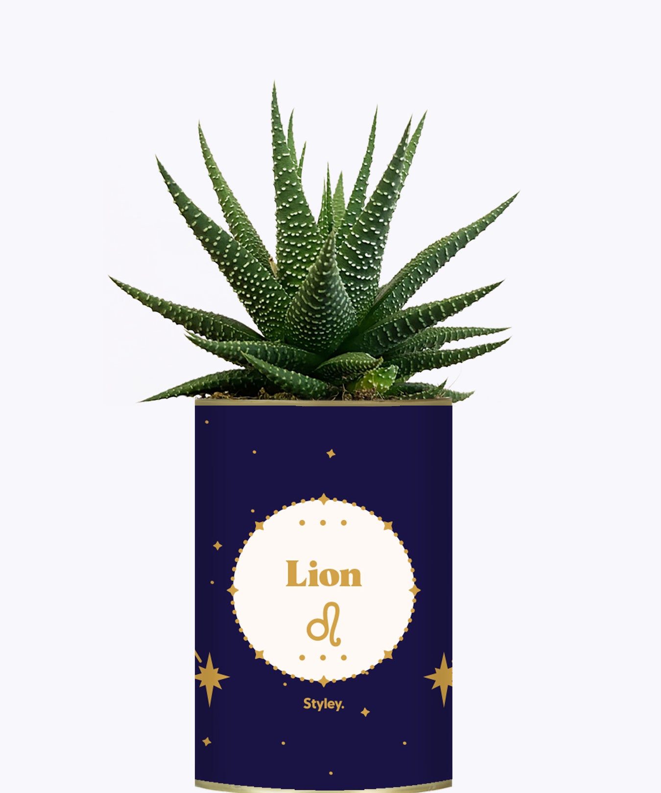 Astrologie - Plante zodiac