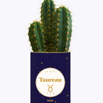 Astrologie - Plante zodiac