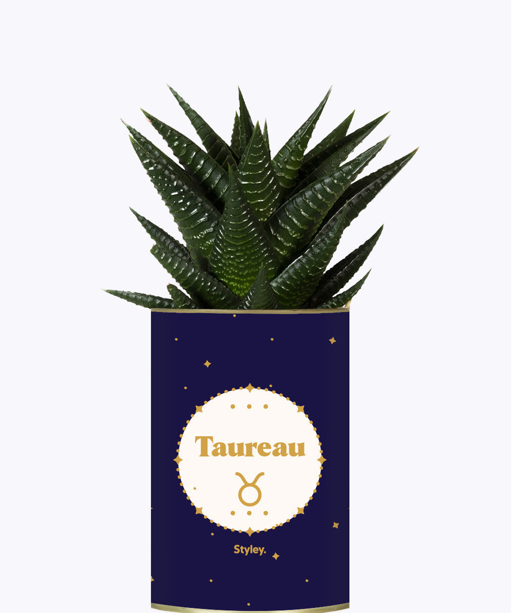 Astrologie - Plante zodiac