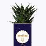 Astrologie - Plante zodiac