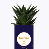 Astrologie - Plante zodiac