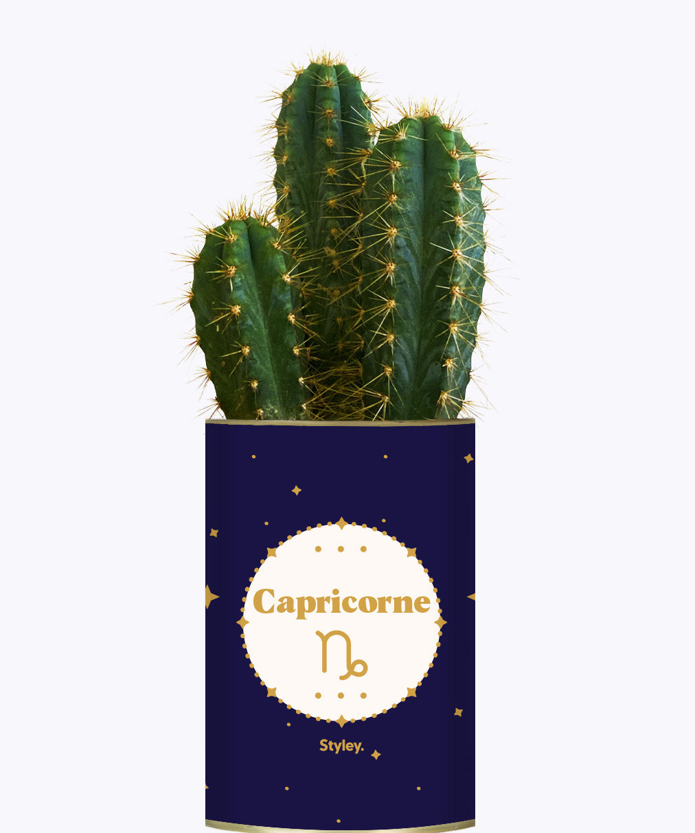 Astrologie - Plante zodiac