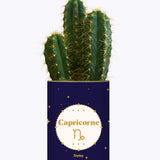 Astrologie - Plante zodiac