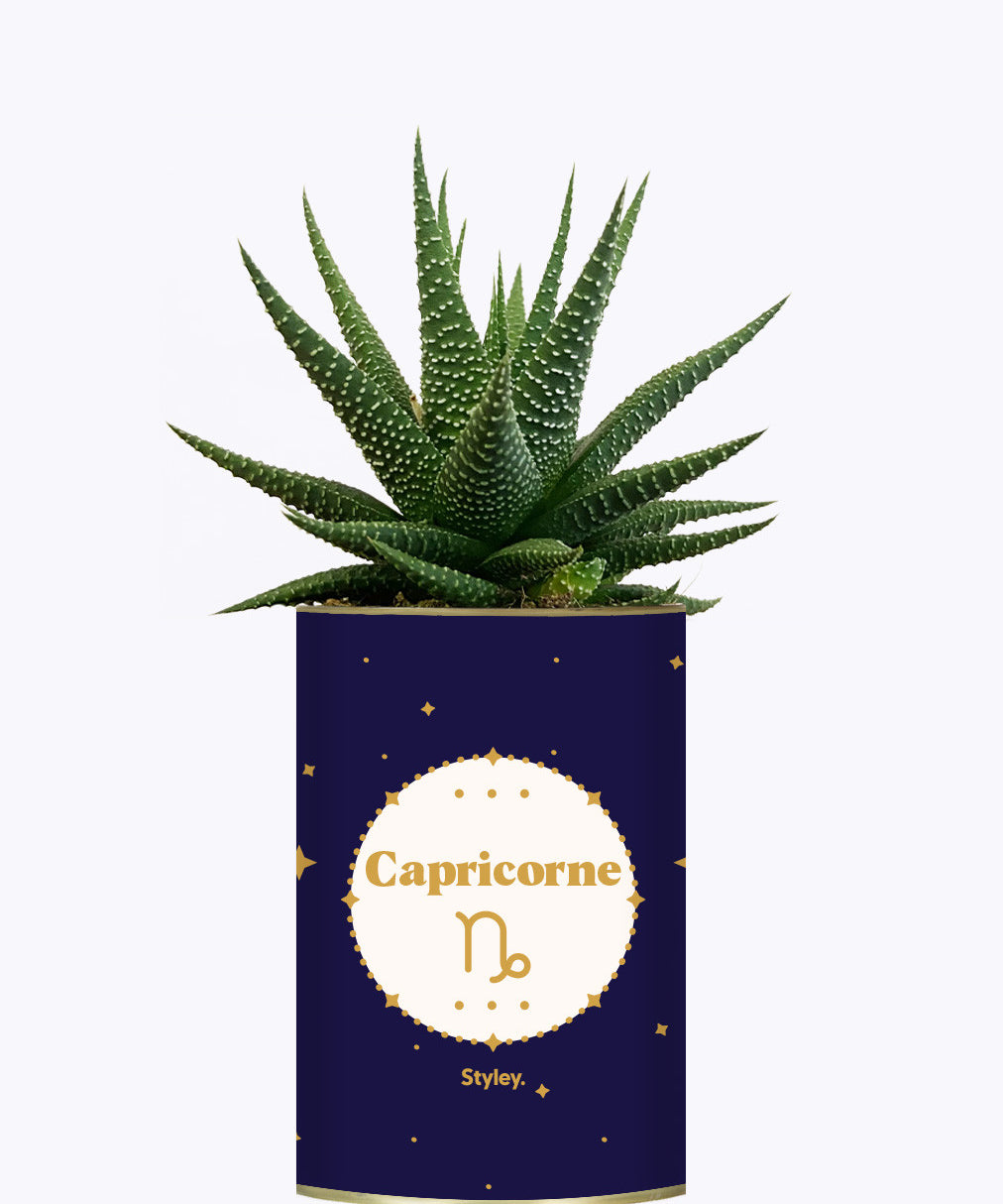 Astrologie - Plante zodiac