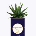 Astrologie - Plante zodiac