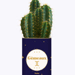 Astrologie - Plante zodiac