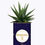 Astrologie - Plante zodiac