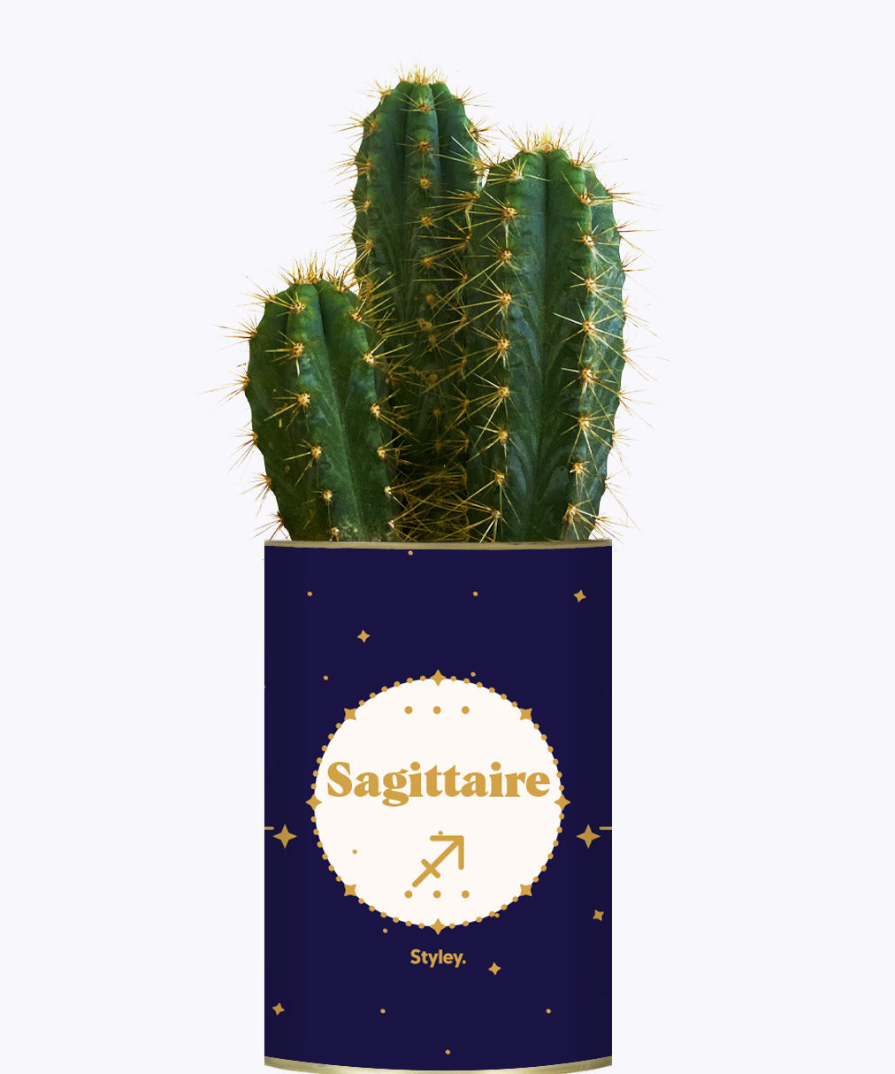Astrologie - Plante zodiac