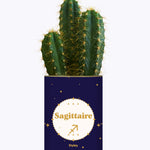 Astrologie - Plante zodiac