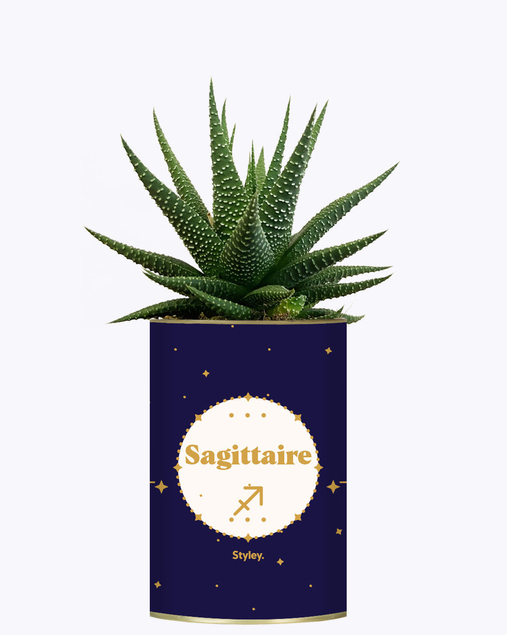 Astrologie - Plante zodiac