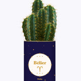 Astrologie - Plante zodiac