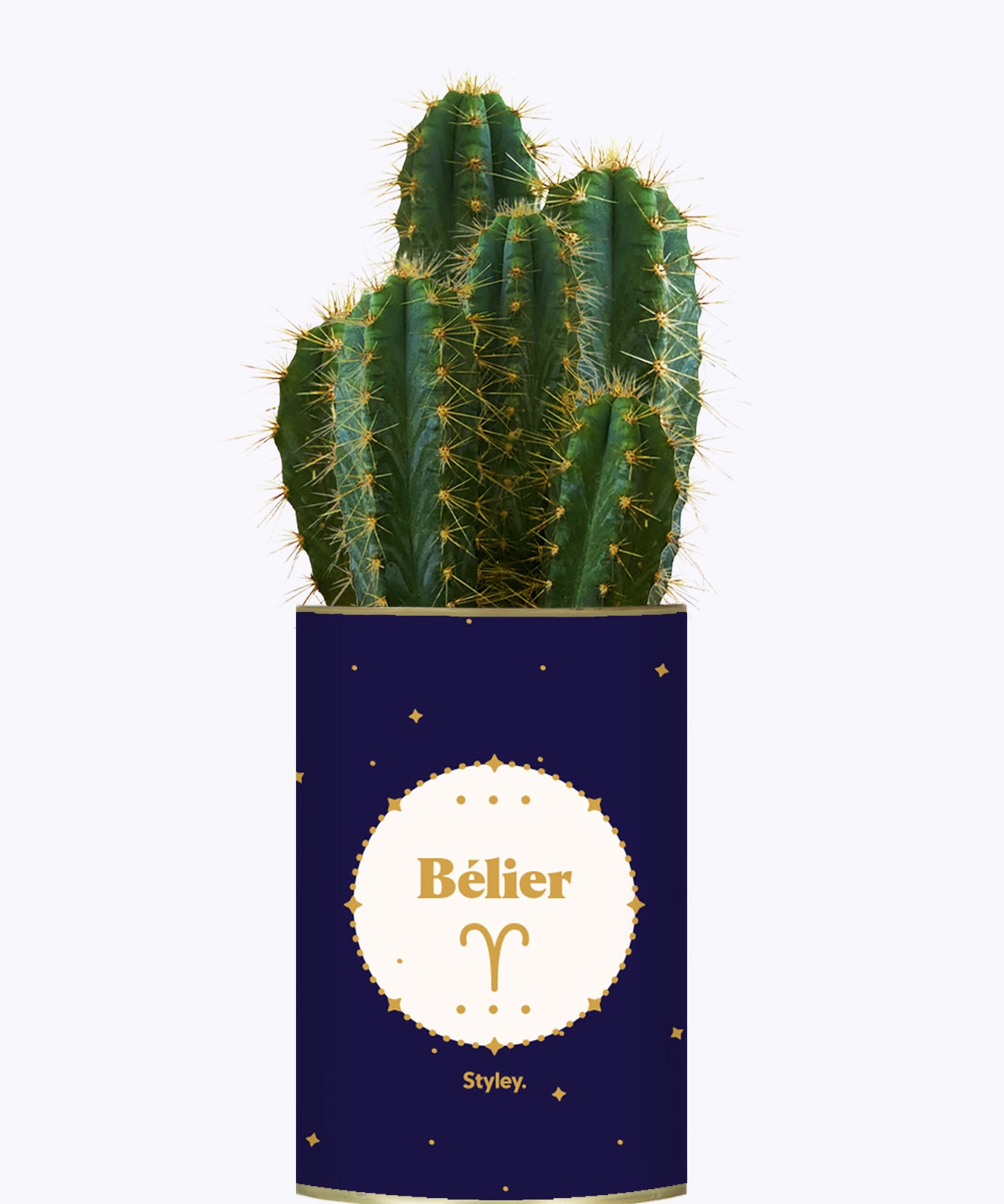 Astrologie - Plante zodiac