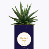 Astrologie - Plante zodiac