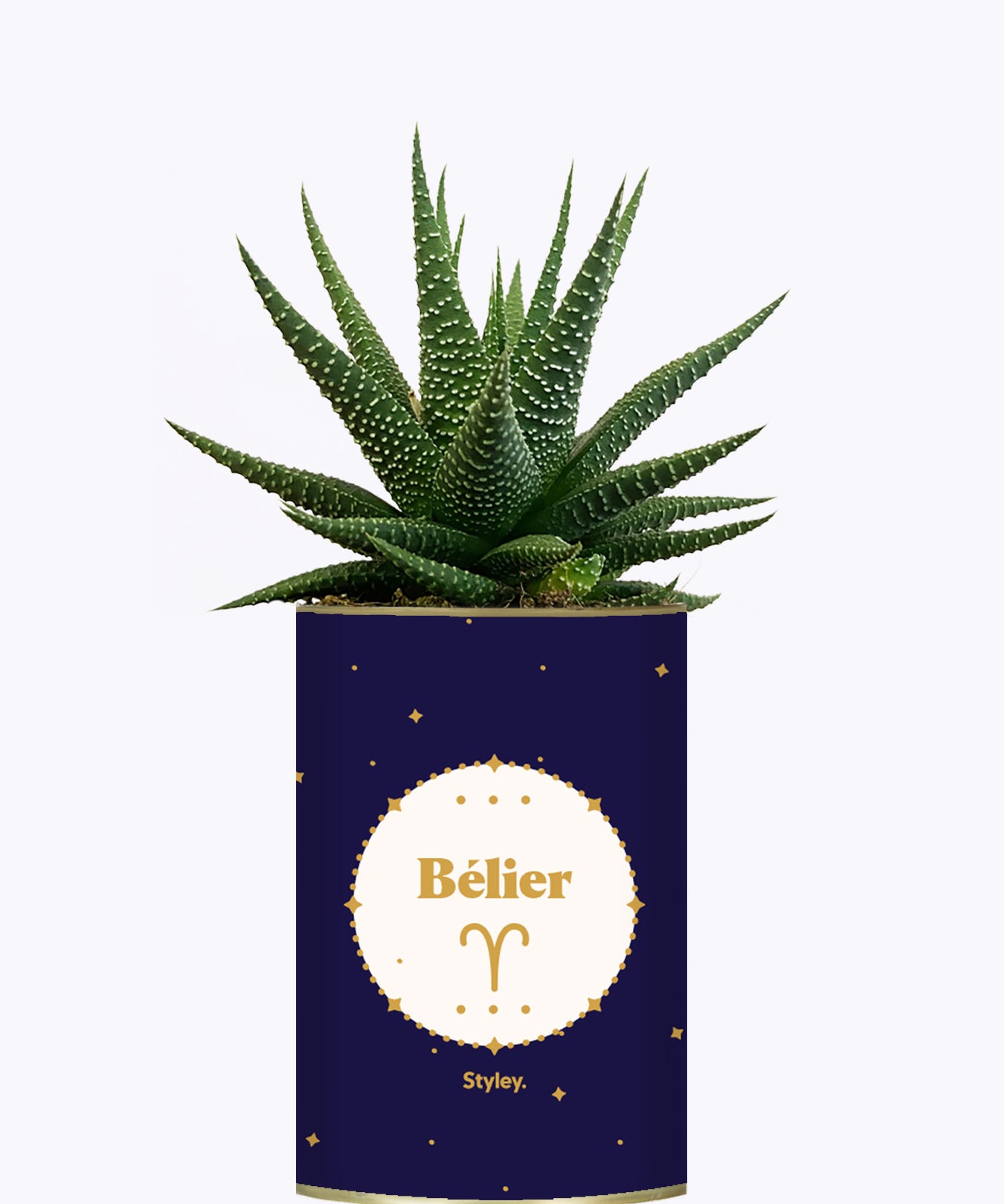 Astrologie - Plante zodiac