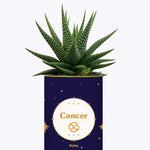 Astrologie - Plante zodiac